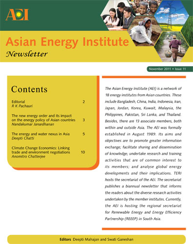 Asian Energy Institute