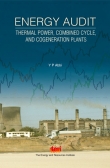 Energy Audit: Thermal Power, Combined Cycle, and Cogeneration Plants